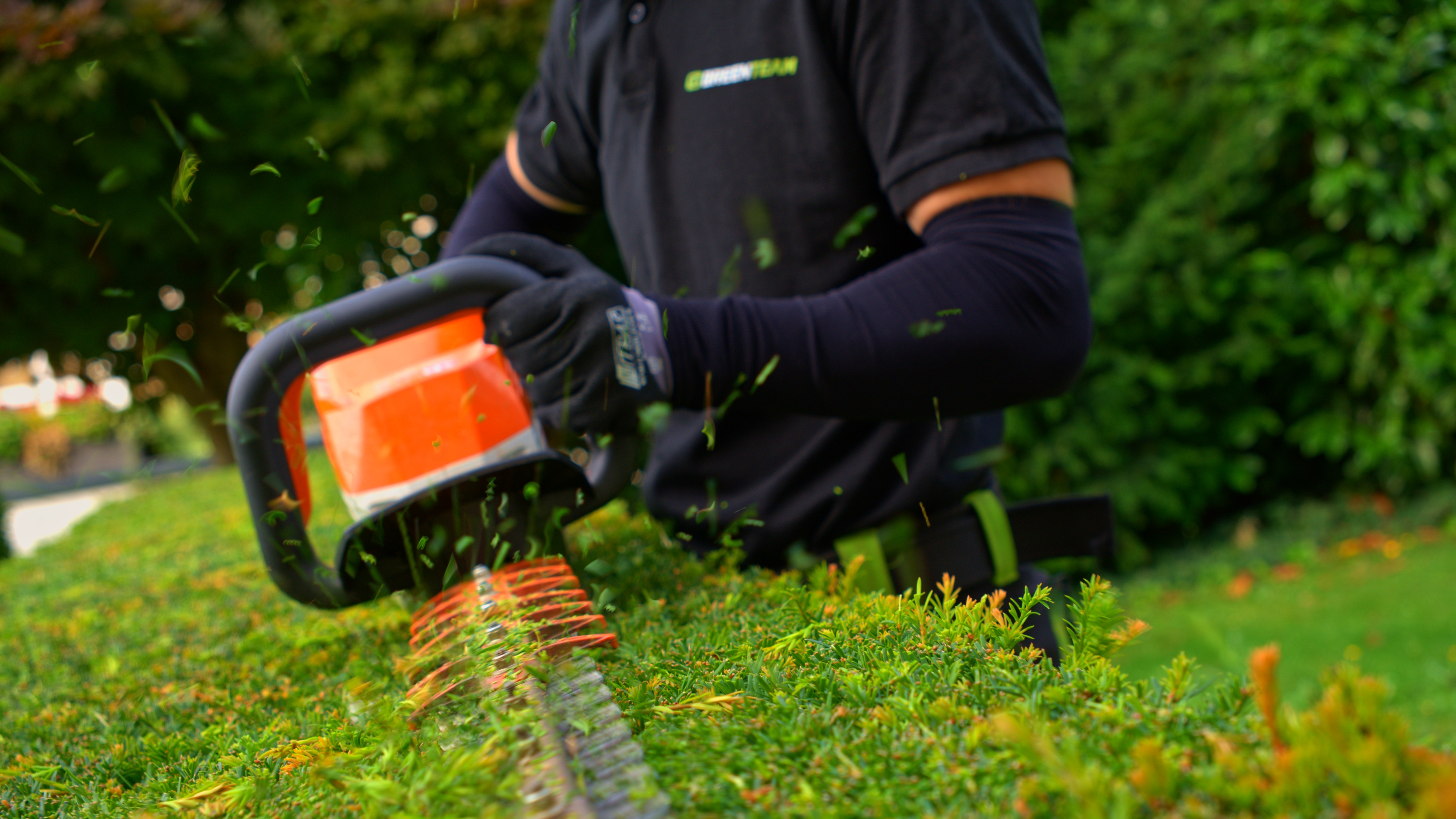 Heckenschnitt in Köln-Zündorf – GreenTeam Gartenpflege professioneller Strauchschnitt